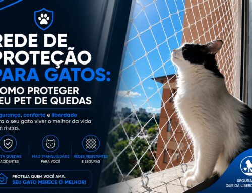 Rede de Proteção para Gatos: Como Proteger Seu Pet de Quedas